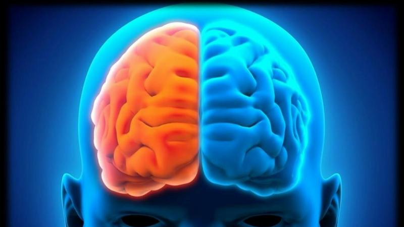 Hình ảnh minh họa bộ não con người với các bánh răng và luồng suy nghĩ tượng trưng cho các thao tác tư duy phức tạp và hiệu quả
