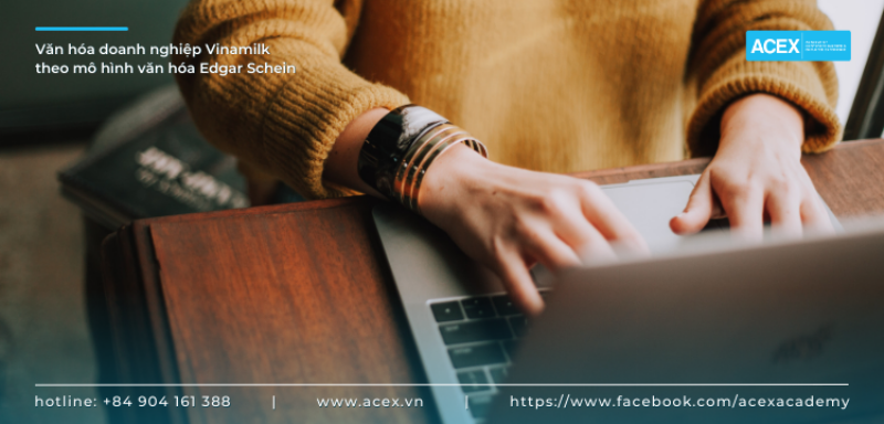 Các cấp độ cấu trúc văn hóa doanh nghiệp theo mô hình Edgar Schein
