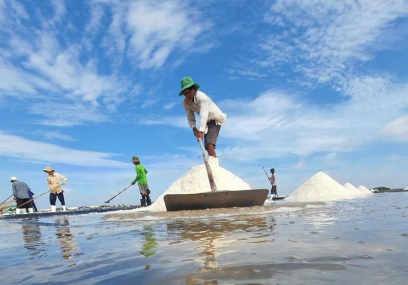 Hình ảnh minh họa các biểu tượng đại diện cho các chủ đề chính trong nguyên lý kế toán như tài sản, nguồn vốn, định khoản, báo cáo tài chính