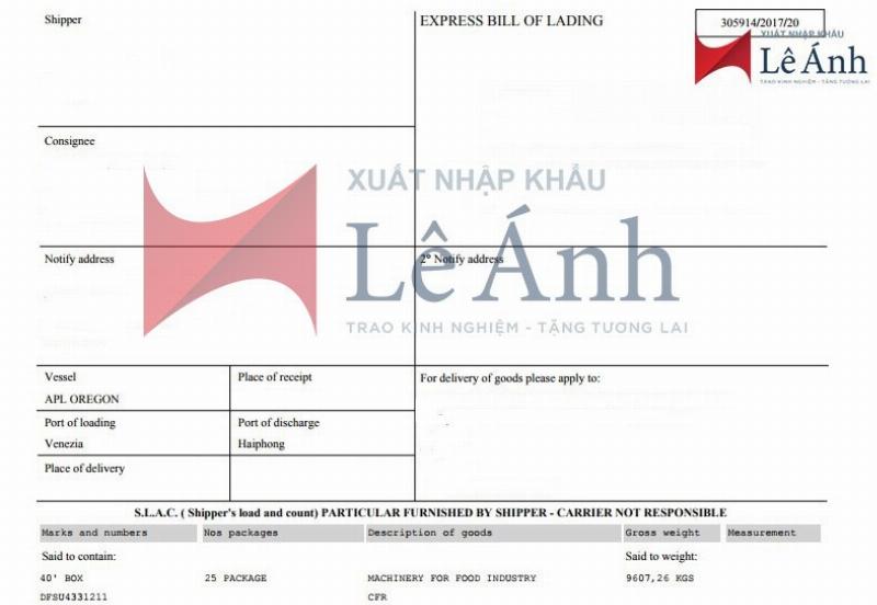 Một chuyên gia tư vấn XNK đang giải thích về quy trình xuất nhập khẩu và sử dụng các thuật ngữ tiếng Anh chuyên ngành, tượng trưng cho người có kinh nghiệm thực tế