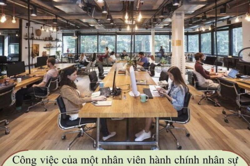 Công việc hành chính phù hợp với ai