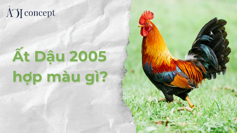 Con gà biểu tượng cho tuổi Dậu và dòng nước tượng trưng cho mệnh Thủy của nữ sinh năm 2005