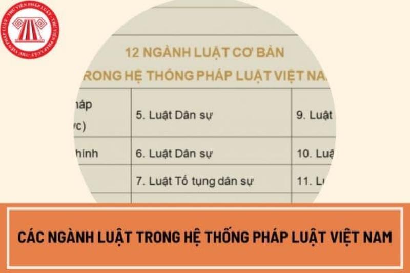 Hệ Thống Ngành Luật