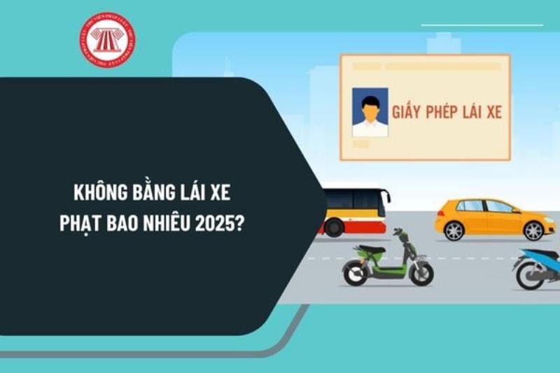 Bị phạt khi không mang bằng lái xe máy