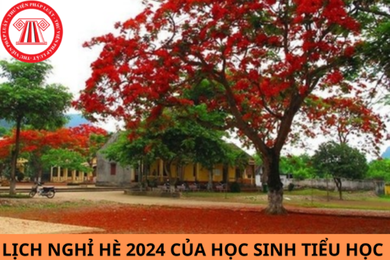 Kỳ nghỉ hè học sinh tiểu học