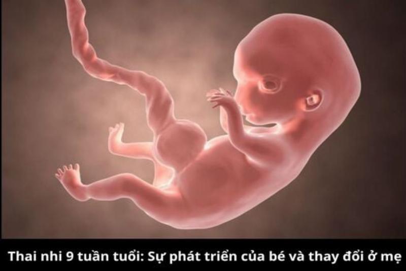Một cặp vợ chồng đang xem xét danh sách tên gọi cho con trên máy tính bảng, có biểu tượng Ngũ Hành bên cạnh