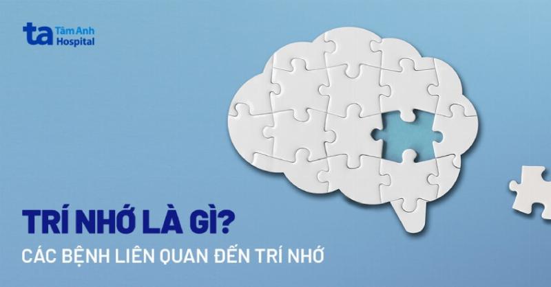 Biểu tượng các yếu tố cần lưu ý khi giải mã giấc mơ, có thể bao gồm hình ảnh bộ não, cuốn sách, dấu hỏi, đồng hồ đo cảm xúc
