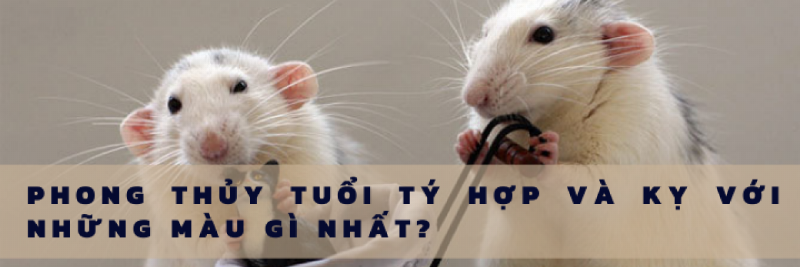 Màu Sắc Hợp Tuổi Bính Tý