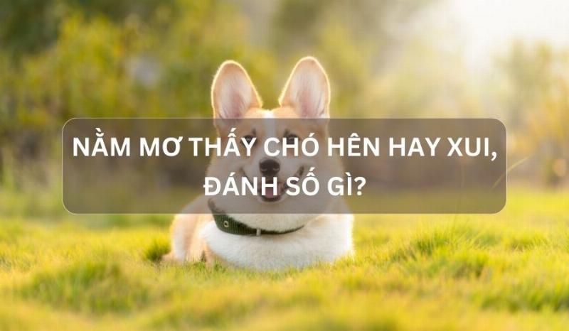 Hình ảnh tượng trưng cho việc giải mã giấc mơ thấy hai xác chết thành con số may mắn