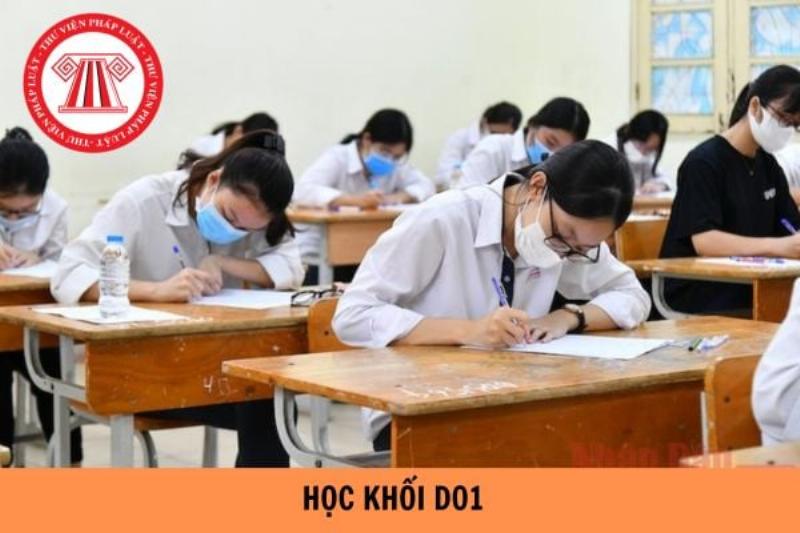 Ngành nghề phù hợp với khối D01