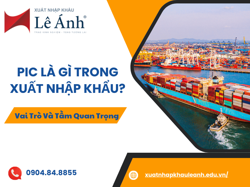 Nhân viên xuất nhập khẩu cần hiểu rõ C/O là gì để làm việc hiệu quả trong ngành.