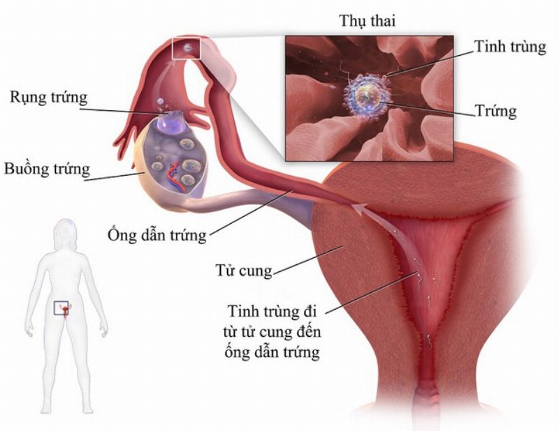 Nhảy Mũi Thứ Hai: Khởi Đầu Tuần Mới