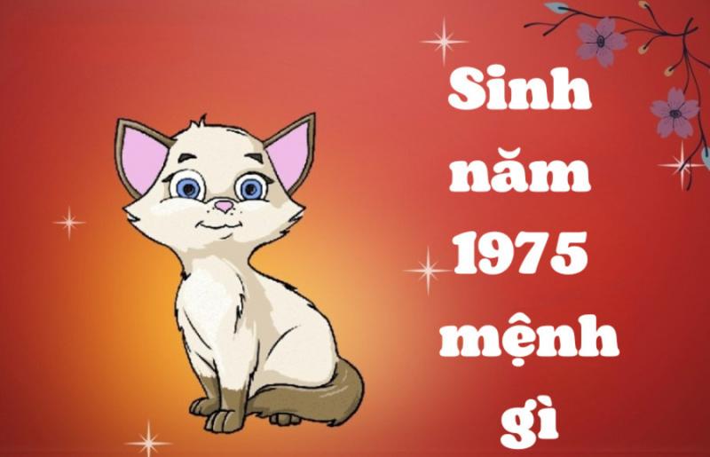 Các biểu tượng về màu sắc hợp/kỵ, hướng nhà tốt, và vật phẩm phong thủy cho người tuổi Ất Mão