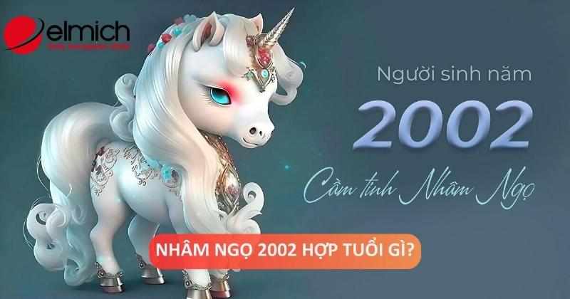 Nữ 2002 chọn bạn đời