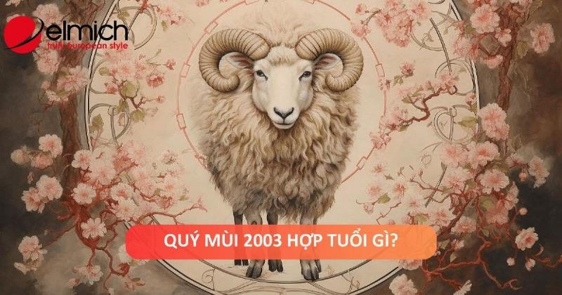 Nữ 2003 Tuổi Kỵ Khi Kết Hôn