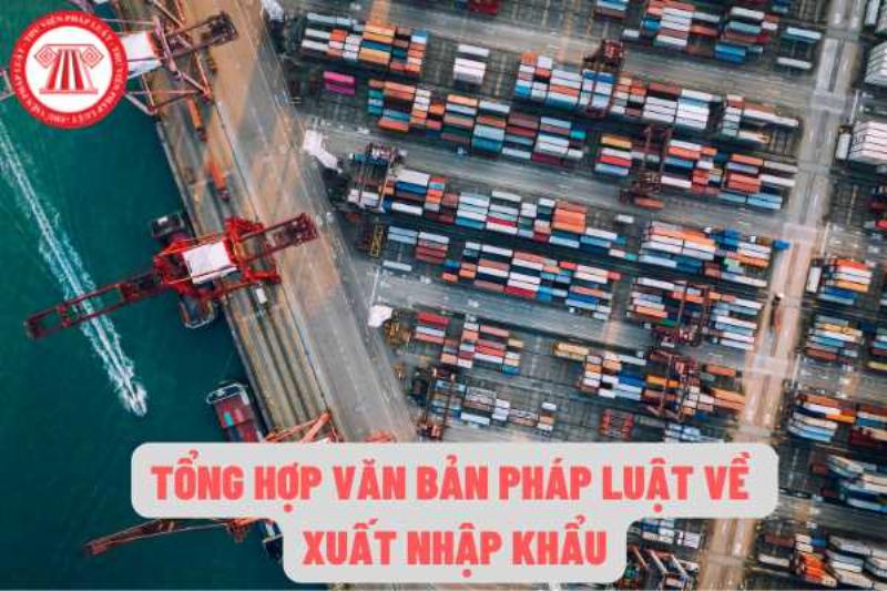 Pháp Luật XNK