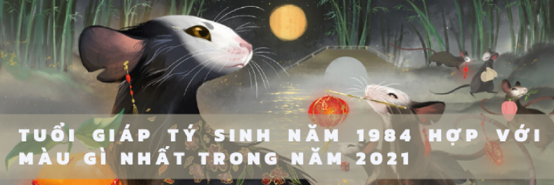 Phong thủy Giáp Tý 2022 Nam Mạng