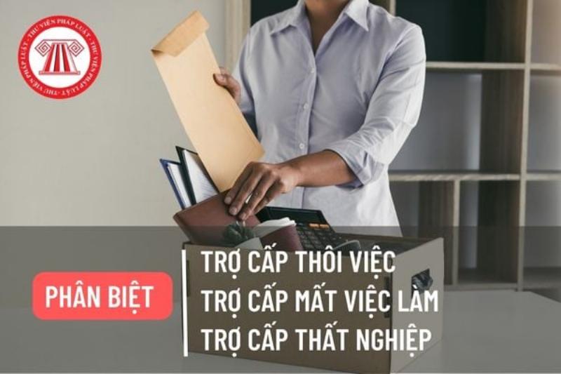Minh họa sự khác biệt và mối liên hệ giữa trợ cấp thôi việc và bảo hiểm thất nghiệp