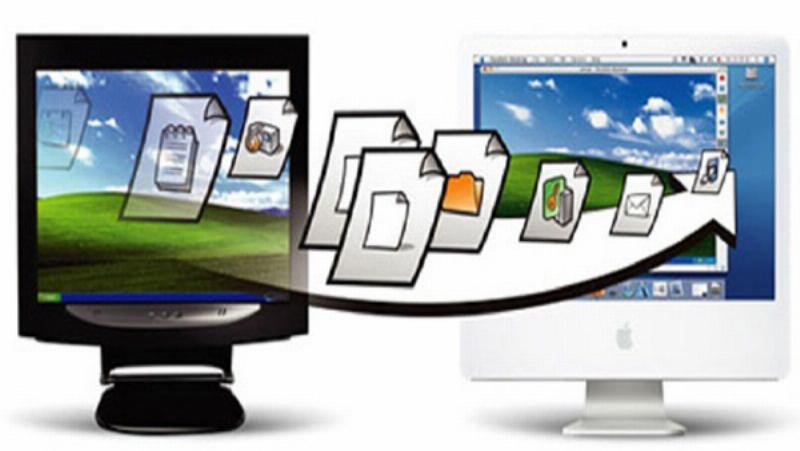 Thực tập sinh phòng hành chính nhân sự đang tỉ mỉ sắp xếp các tập hồ sơ giấy trong tủ đựng tài liệu