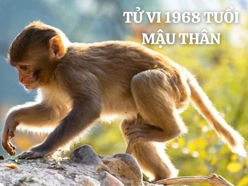 Tình duyên tuổi Mậu Thân 1968 nam mạng