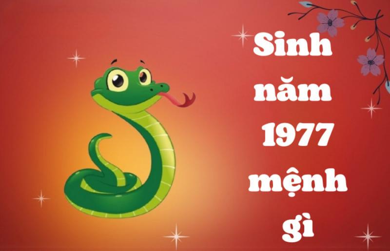 Tử vi 1977 nam mạng sự nghiệp