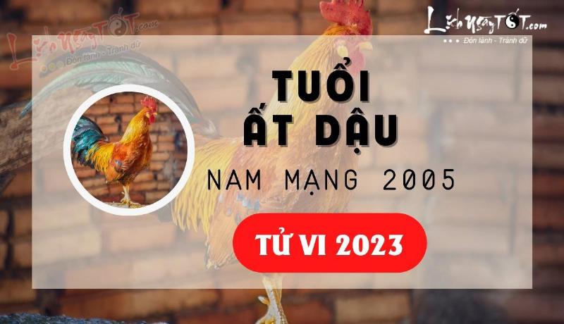 Tử vi 2005 năm 2023 nam mạng tổng quan