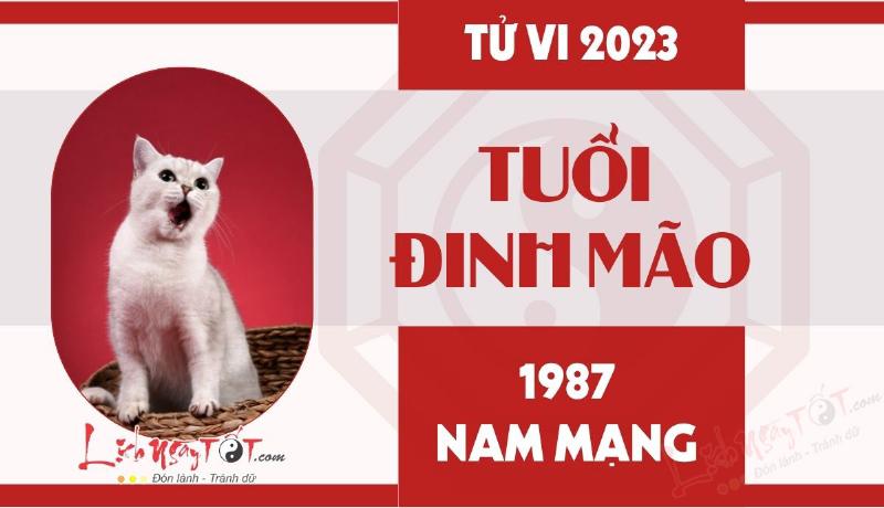 Tổng Quan Tử Vi Đinh Mão 2023 Nam Mạng