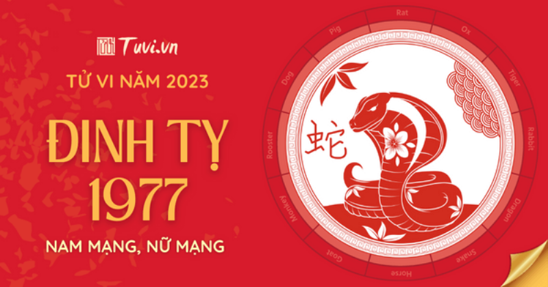 Tổng Quan Tử Vi Đinh Tỵ 2023