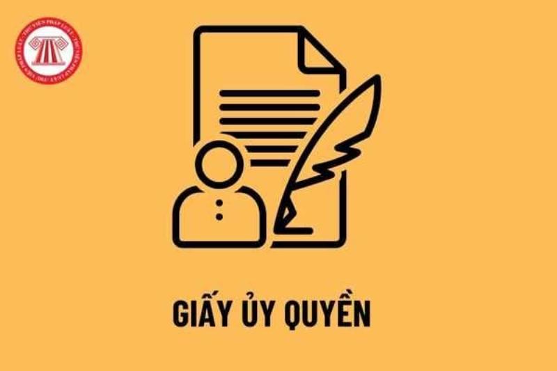 Tử Vi và Giấy Ủy Quyền Công Ty Cho Cá Nhân