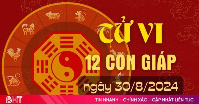 Tử vi hàng ngày tuổi Hợi