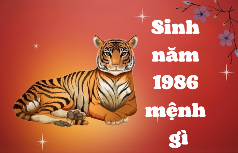 Tử vi nữ 1986 năm 2023 hợp hướng