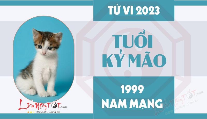 Tử vi phong thủy tuổi Mão 1999 nam mạng năm 2023