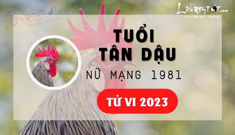 Tử vi Tân Dậu 1981 Nữ Mạng Phong Thủy 2023