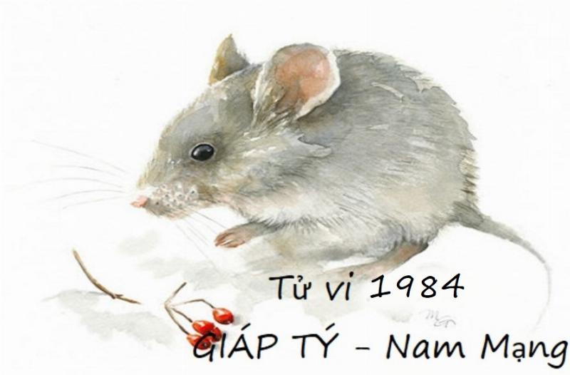 Tử vi trọn đời 1984 nam mạng