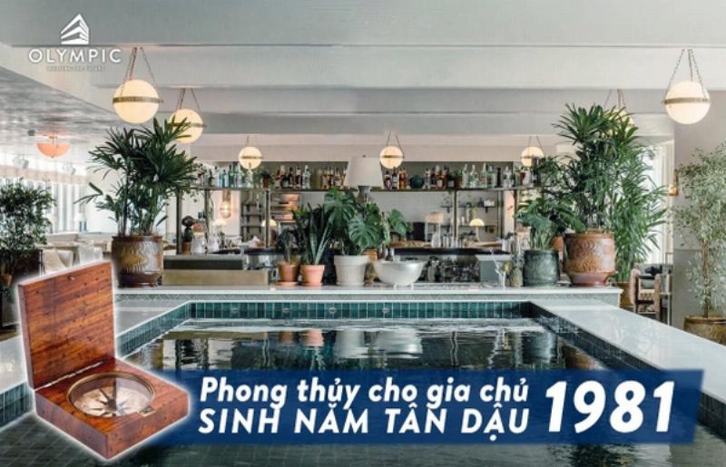 Tử vi tuổi Dậu 1981 phong thủy 2021