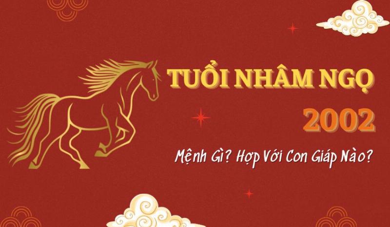 Tử vi tuổi Nhâm Ngọ 2002 mệnh Thủy