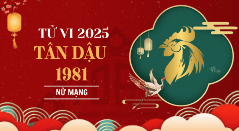 Hình ảnh minh họa lá số tử vi cho nữ mạng tuổi Tân Dậu 1981 năm 2024 với sao Kế Đô chiếu mệnh