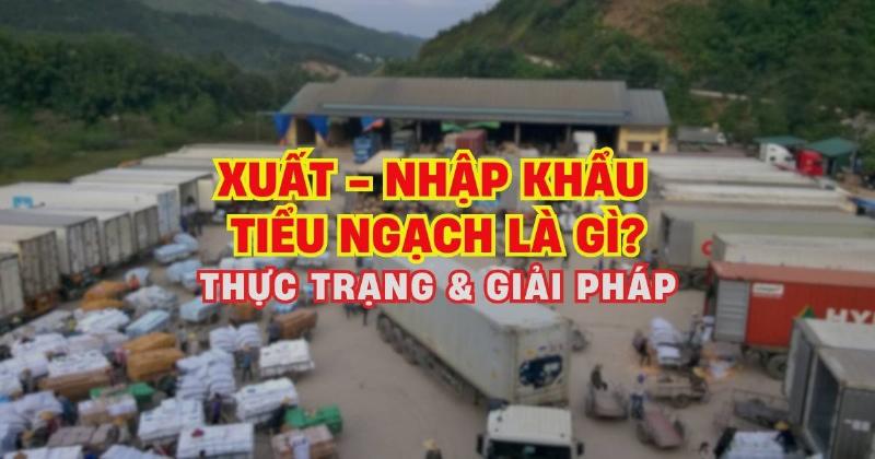 Xuất Nhập Khẩu Tiểu Ngạch