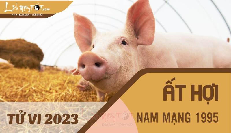 Ất Hợi 2023 nam mạng sự nghiệp