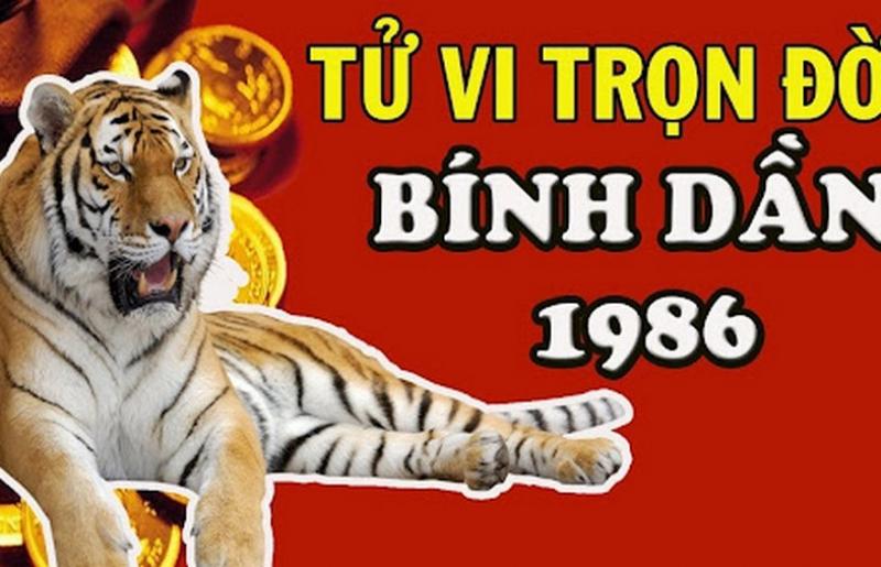 Bảng tổng hợp tử vi Bính Dần