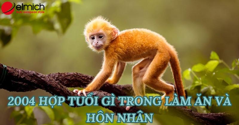 Tình Duyên và Gia Đạo Tuổi Bính Thân