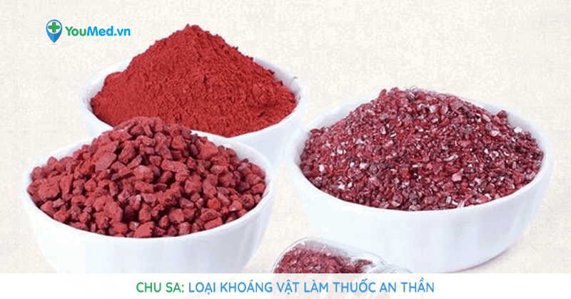 Chu Sa Y Học Cổ Truyền