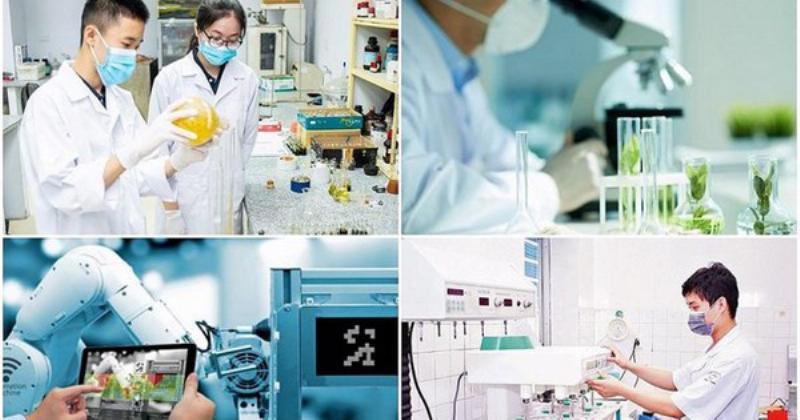 Lợi thế tương đối là gì và cách chính phủ đầu tư phát huy: Minh họa các yếu tố thúc đẩy lợi thế tương đối quốc gia (cơ sở hạ tầng, giáo dục, công nghệ)