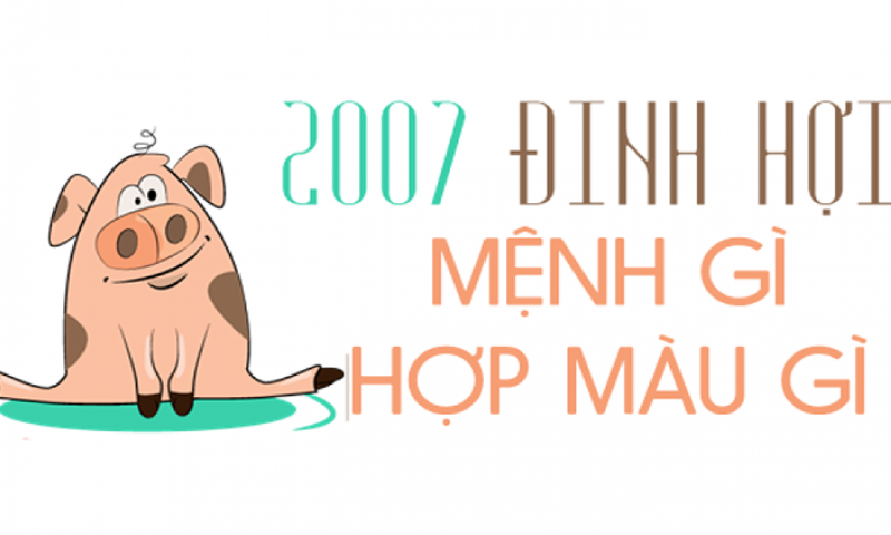 Đinh Hợi 2007 mệnh gì?