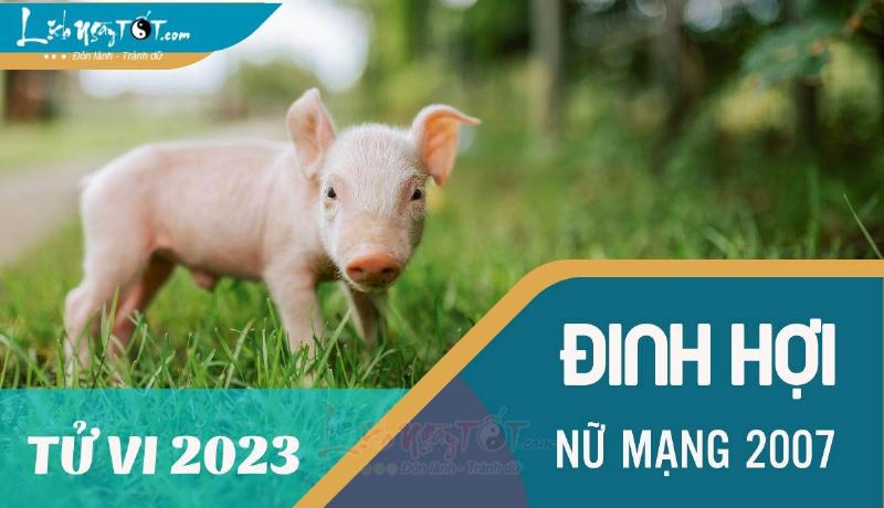 Đinh Hợi 2007 Nữ Học Tập 2023