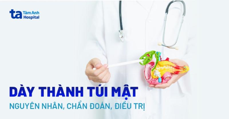 Độ dày thành tim bình thường qua siêu âm