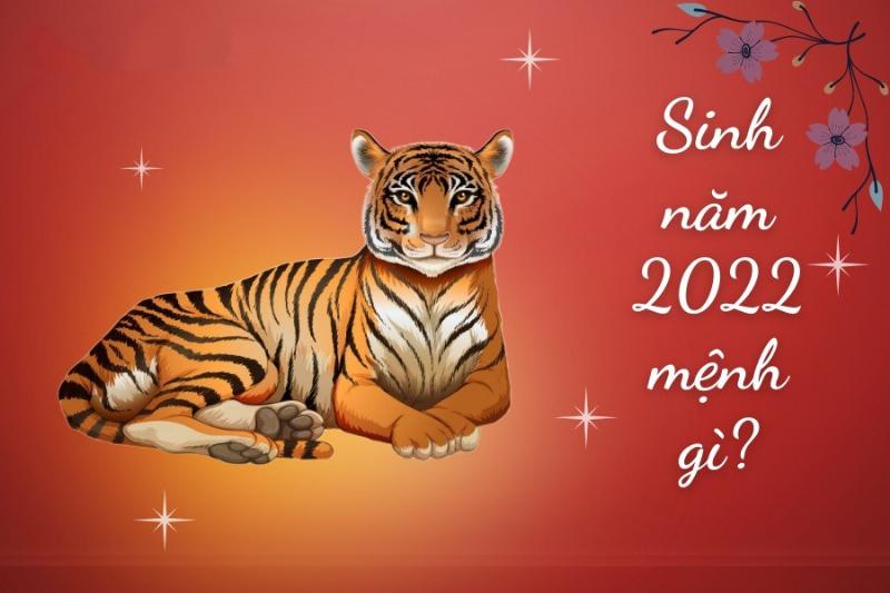 Hình ảnh em bé tuổi Nhâm Dần 2022 mang mệnh Kim Bạch Kim