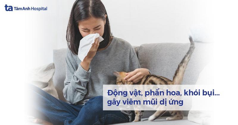 Hắt xì vào buổi sáng: Một khởi đầu mới hay chỉ là phản ứng sinh lý?