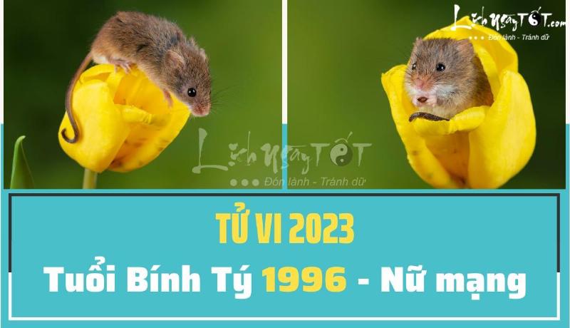 Lưu ý tuổi Tý 1996 nữ mạng 2023