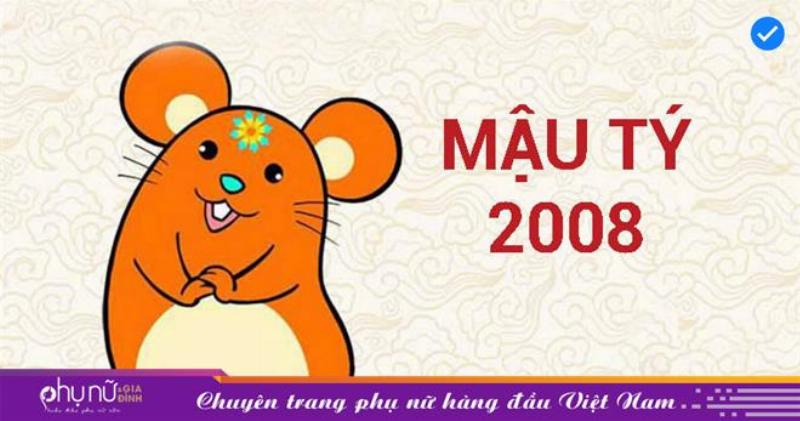 Mậu Tý 2008 Nghề Nghiệp